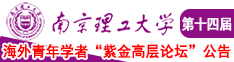 亚洲大鸡吧乱伦南京理工大学第十四届海外青年学者紫金论坛诚邀海内外英才！